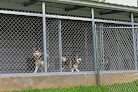 Pet boarding services 2nd Home Dog Boarding in Warrior in Alabama