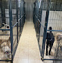 Pet boarding services 31 South Kennels in Greenville in Alabama