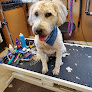 Pet boarding services 4 Paws Lodge in Fergus Falls in MN