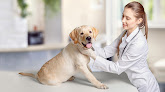 Pet boarding services 4 Paws Pet Hospital in Bakersfield in California