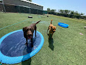 Pet boarding services 4 Paws Play And Stay in Arkansas City in Kansas