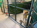 Pet boarding services 47 Dog Depot, Llc in Tallassee in Alabama