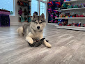 Pet boarding services 49th State Kennels in Palmer in Alaska