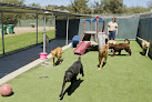 Pet boarding services A Dog's Paradise in Maricopa in Arizona