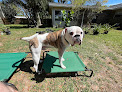 Pet boarding services A Home Away From Home - Luxury Pet Boarding in Pensacola in Escambia