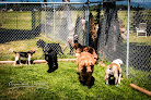 Pet boarding services A Pet Boarding Retreat (pbr Kennels) in Kalispell in MT