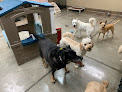 Pet boarding services A Pet Villa Dog Boarding And Grooming in Santa Clara in CA