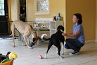 Pet boarding services A Stay In The Country Pet Lodge And Training Center in Charles City in Virginia