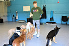 Pet boarding services A1k9 Academy in Westbrook in Cumberland