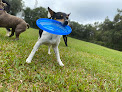 Pet boarding services Aaa Pet Resort in Bradenton in Florida