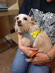 Pet boarding services Abby Pet Hospital in Fresno in CA