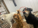 Pet boarding services Abck-9 & Fun in Fairbanks in Alaska
