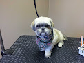 Pet boarding services Absolutely Paws-itive in Lexington in Kentucky
