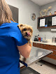 Pet boarding services Acadia Animal Medical Center, Llc in Rayne in Acadia