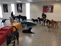 Pet boarding services Adogo Pet Hotel - Msp Airport in Richfield in MN