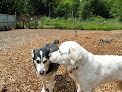 Pet boarding services Adventure Dog Ranch in Marysville in WA