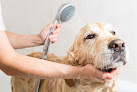 Pet boarding services Affordable Pet Services in Alexandria in MN
