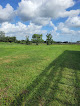 Pet boarding services Agape Animal Farms, Llc in Lakeland in Florida