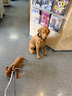 Pet boarding services Ahwatukee Animal Care Hospital in Phoenix in Arizona