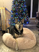 Pet boarding services Alaska Tlc Kennels in Palmer in Alaska