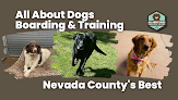 Pet boarding services All About Dogs Boarding And Training (formerly S&s Dog Boarding) in Penn Valley in CA