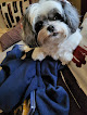 Pet boarding services All About Dogs in Selma in Alabama