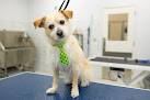 Pet boarding services All American Pet Resorts - Greensboro in Greensboro in Guilford