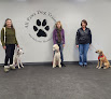 Pet boarding services All Paws Dog Training in Maynard in MA