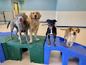 Pet boarding services All Star Pet Hotel & Day Care in White Bear Lake in MN
