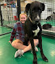 Pet boarding services All-star Grooming, Dog Daycare & Boarding in Scottsdale in Arizona