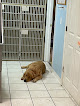 Pet boarding services Almost Home Pet Resort in Valrico in FL