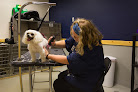 Pet boarding services Alpine Animal Hospital in Laramie in Wyoming