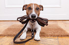 Pet boarding services Always Home Pet Sitting & Dog Walking in Mobile in Alabama