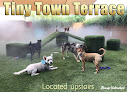 Pet boarding services Always Unleashed Pet Resort in Scottsdale in Arizona