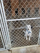 Pet boarding services American Pineacre Kennels in Muncie in Indiana