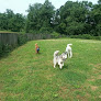 Pet boarding services Angel's Pet Resort & Rescue, Llc in Queenstown in Queenstown, MD