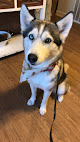 Pet boarding services Animal Care Clinic in Junction City in Kansas
