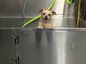 Pet boarding services Animal Doctor in Junction City in Kansas