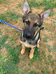 Pet boarding services Animal Health Clinic in Baton Rouge in Louisiana