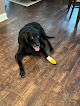 Pet boarding services Animal Health Services - Walter Mullen Dvm in Columbus in MS
