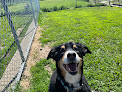 Pet boarding services Animal House Pet Care, Llc in Kronenwetter in Wisconsin