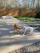 Pet boarding services Animal House Spa in Slidell in Louisiana