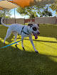 Pet boarding services Animal Humane New Mexico in Albuquerque in New Mexico