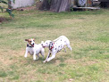 Pet boarding services Animal Lovers Pet Sitting & Dog Boarding in Lutz in Hillsborough