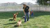 Pet boarding services Animal Medical Center in Great Bend in Kansas