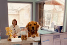 Pet boarding services Animal Medical Center Of Reno in Reno in NV
