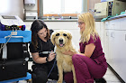 Pet boarding services Animal Medical Center Of Troy in Troy in MO
