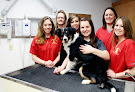 Pet boarding services Animal Medical Center Of Wyoming in Gillette in Wyoming