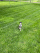 Pet boarding services Animal Medical Center On Crow River in Hutchinson in MN