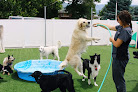 Pet boarding services Animal Medical Clinic in Bountiful in UT